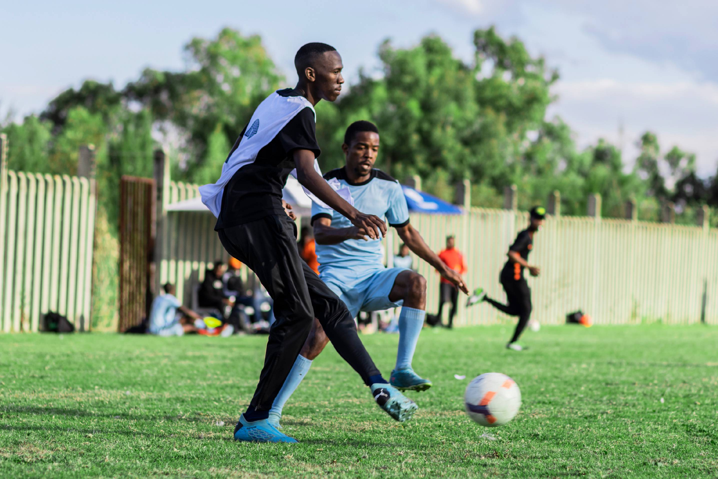 Supporting Student Wellness for Academic Success